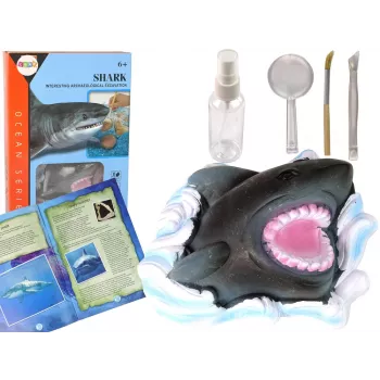 LEAN TOYS Ammonite Shark Excavation Educational Kit