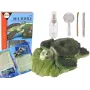 LEAN TOYS Ammonite Turtle Excavation Educational Kit