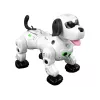 LEAN TOYS Interactive Remote Controlled Robot Doggy