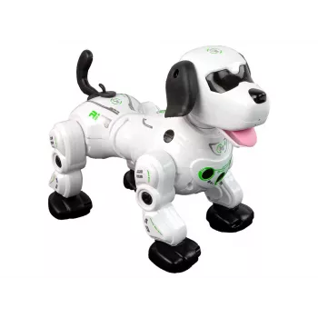 LEAN TOYS Interactive Remote Controlled Robot Doggy
