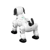 LEAN TOYS Interactive Remote Controlled Robot Doggy