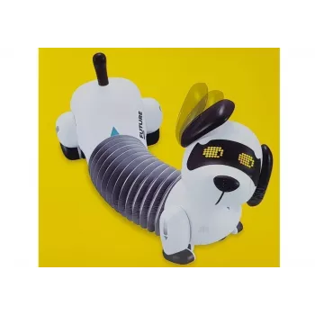 LEAN TOYS Interactive Robot Dog Remote Controlled Music Sound Remote Control Ball