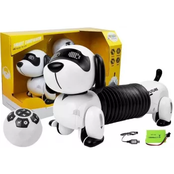 LEAN TOYS Interactive Robot Dog Remote Controlled Music Sound Remote Control Ball