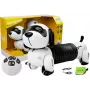 LEAN TOYS Interactive Robot Dog Remote Controlled Music Sound Remote Control Ball