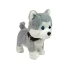 LEAN TOYS Plush Dog Interactive Educational Leash Songs Walks