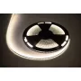 LED Lente 25m Rebel 300x5050 SMD Neitrāli Balta Ūdensizturīga 12V