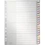 LEITZ A4 īpaši platais tukšais plastmasas reģistru dalītājs, 20 daļas, universālais perforators, caurspīdīgi balts 1278-00-00
