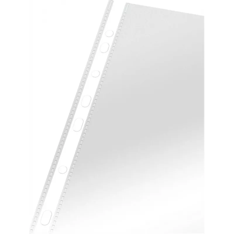 LEITZ Esselte Standard dokumentu uzmava A4, polipropilēns, caurspīdīga, 0,06 mm, atvērta no augšas, droša dokumentiem, daudzperforēta, pastiprināta mala, 100 gab. (925008)
