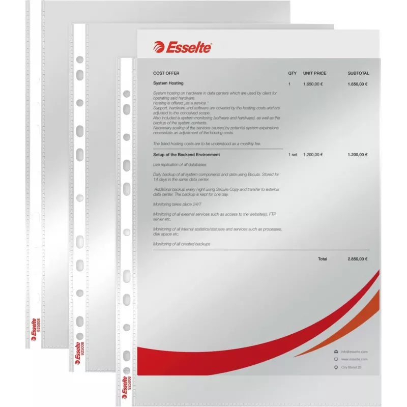 LEITZ Esselte Standard dokumentu uzmava A4, polipropilēns, caurspīdīga, 0,06 mm, atvērta no augšas, droša dokumentiem, daudzperforēta, pastiprināta mala, 100 gab. (925008)