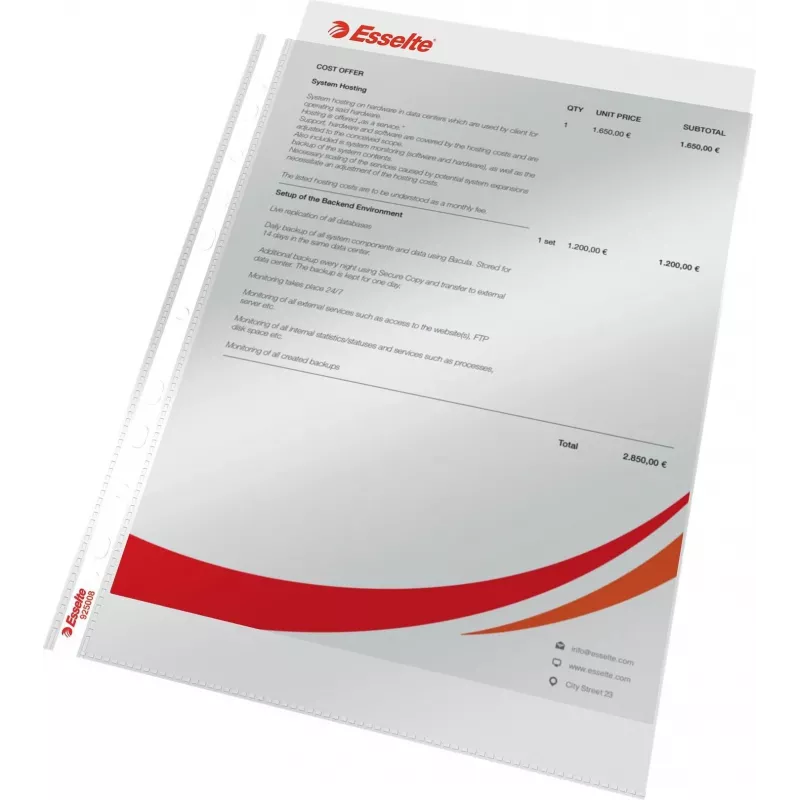 LEITZ Esselte Standard dokumentu uzmava A4, polipropilēns, caurspīdīga, 0,06 mm, atvērta no augšas, droša dokumentiem, daudzperforēta, pastiprināta mala, 100 gab. (925008)