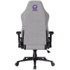 LORGAR CHA41 Ergonomic Gaming Chair Advanced, Premium Anti-Stain Fabric, Grey