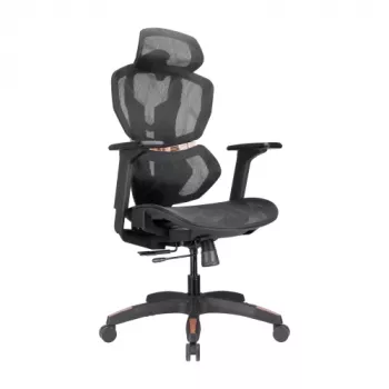 LUMIVIDA PREMIUM Ergonomic Office Chair with Head and Lumbar Support, 3D Adjustable Armrests - Black
