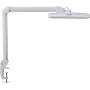 MAUL LED Desk Lamp Intro Dimmable with Clamp Base White