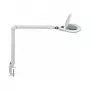 MAUL LED palielināmais lukturis Source, dimmable, balts