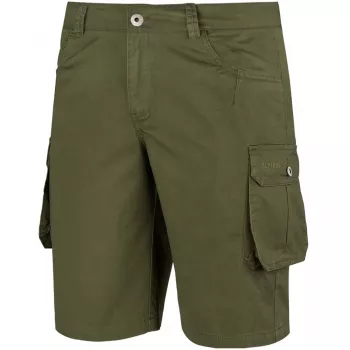 Vīriešu šorti Alpinus Hekla Green SI18154 L