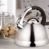MEO Stovetop Tējkanna 2.8L MR-1328 MAESTRO – Nerūsējošā tērauda svilpojošā tējkanna ar karstumizturīgu bakelīta rokturi, indukcijai un visām plītīm, sudraba krāsā
