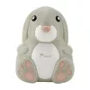 Momini kompresoru inhalators NebuBunny