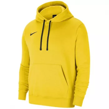 Nike Park 20 Hoodie University Gold/Black CW6957 719