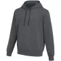 Nike Park 26 Fleece vīriešu hoodie Dark Grey Heather XS