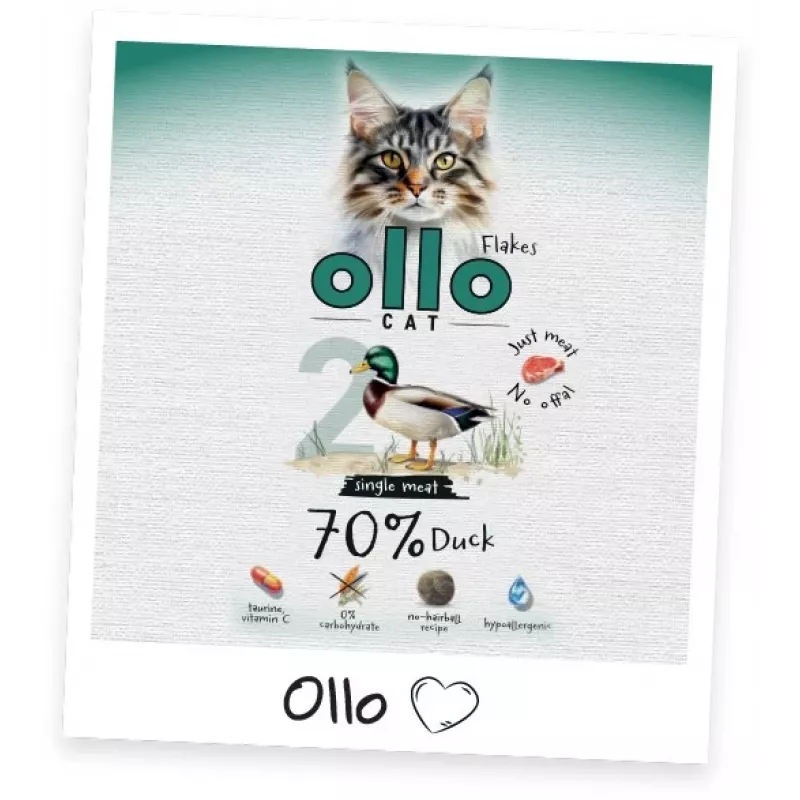 Ollo kaķu barības maisiņš Nr. 2 ar pīli 85 g