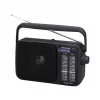 Panasonic RF-2400DEG-K pārnēsājams analogais AM/FM radio - melns