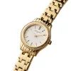 Pierre Cardin sieviešu analogs kvarca pulkstenis CF.0607.SE.G (30mm)