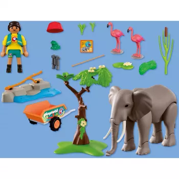 PLAYMOBIL 72068 Zilonis ar zvērkopju