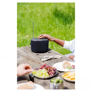 PURE ACOUSTICS Pure Woodland portatīvais Bluetooth skaļrunis – 10W, ūdensizturīgs, FM/DAB+ radio, melns (253344)