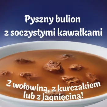 PURINA FELIX Soup Original Country Flavours 6x48g
