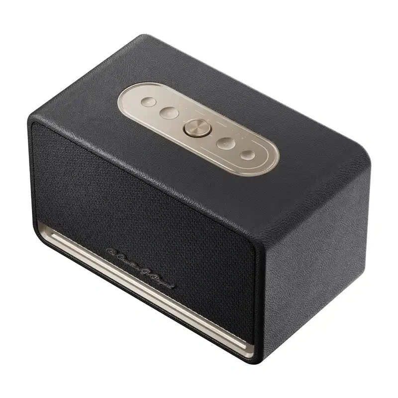 QCY SP300 Bezvadu skaļrunis (melns)
