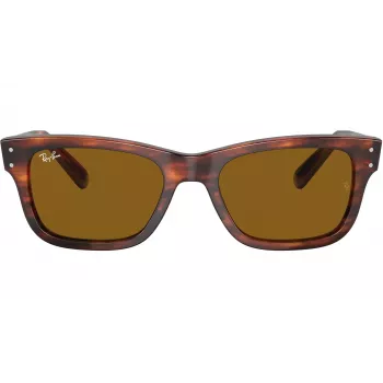 Ray-Ban Frank Unisex Sunglasses RB22839543355 Havana Brown 52mm