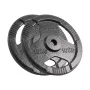 REBEL ACTIVE Čuguna Svaru Disku Komplekts 2x10kg, Urbums 31mm, Diski ar Rokturiem, Melns