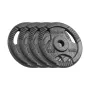 REBEL ACTIVE Cast Iron Weight Set 4x5kg, Bore 31mm, Disc with Handles