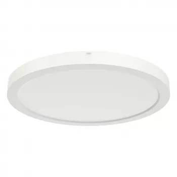 RIDI SARA290 renovācijas padziļinātā lampa D=290mm 830/840
