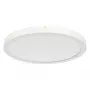 RIDI SARA290 renovācijas padziļinātā lampa D=290mm 830/840