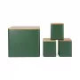 Salter BW12900G Toronto 4-Piece Countertop Set, Green