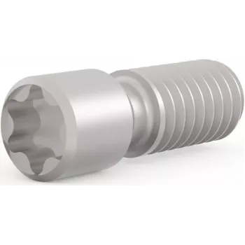 SCHROFF ieskrūvējamā skrūve M2.5 x 9 mm Torx T8, tērauds, 100 gab. (21102980)