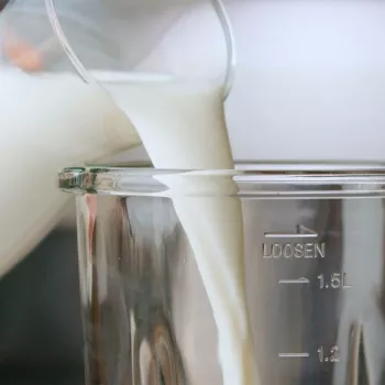 Taurus OPTIMA GO 1500 Blenderis ar 1,5L stikla trauku, 1500W, 6 nerūdējoša tērauda asmeņi, mainīgs ātrums, Pulse, ledus drupināšana, melns/sudrabs