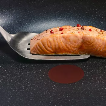 Tefal Expertise Plus 24 cm Nepiedegoša panna ar Thermo-Spot
