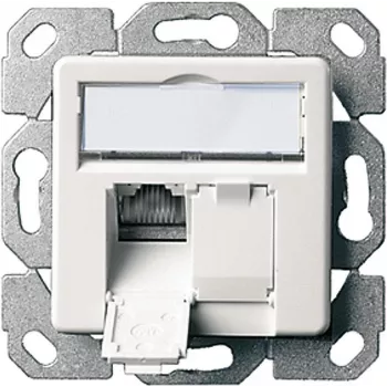 Telegärtner AMJ45 8/8 K Up/50 Cat.6A iegremdējamā datu kontaktligzda, 2x RJ45, ekranēta, pērļu balta RAL 1013 J00020A0501