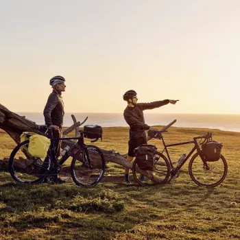 Thule 5403 Shield Pannier 13L 2-pack dzeltenā