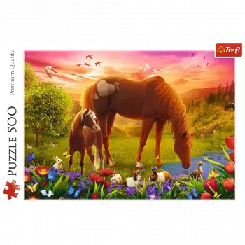 TREFL Puzzle 500 - Zirgi pļavā