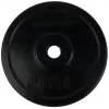 Tunturi gumijotais svara disks 5 kg (viens gabals)