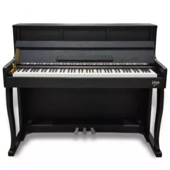 V-TONE PLF-256 BK 88 taustiņu digitālā klavieres ar graduētu āmuriņu mehānismu, 238 balsis, 200 ritmi, 128 balsu polifonija, 3 pedāļi, 2x25W skaļruņi, USB MIDI/Audio, melna