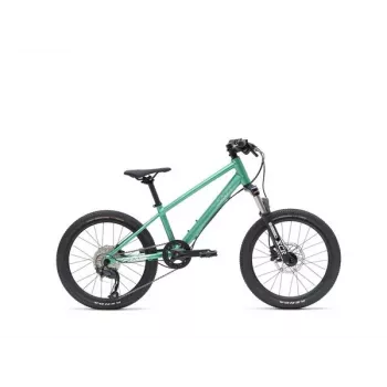 VAAST Y/1 kalnu velosipēds 20 collu Gloss Teal – Junior MTB ar Super Magnesium rāmi