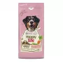 VERSELE-LAGA HappyLife Dry Dog Food with Lamb for Adult Dogs 12,5kg