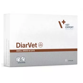 VetExpert Diarvet Small Breed and Cats 6 Kapsulas