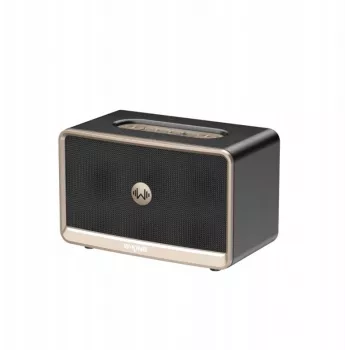 W-King H330 portatīvais bezvadu Bluetooth skaļrunis 30W IPX6 Melns