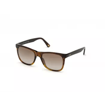 WEB EYEWEAR MAN WE0279-5652G Saulesbrilles Havana Green 56/19/145 mm