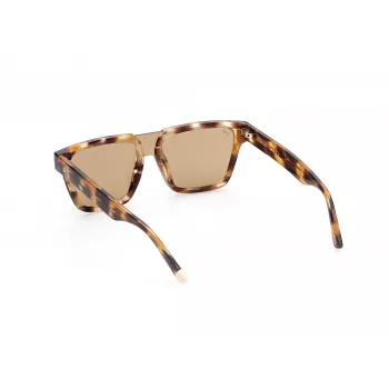 WEB EYEWEAR MAN WE0314-0041F saulesbrilles Havana acetāta rāmis Brūns gradienta stikls 54-19-145